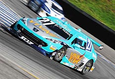 Miguel Costa / DVG Miguel Costa / DVG