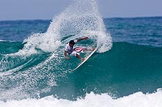 STEVE ROBERTSON&nbsp;/&nbsp;ASP IMAGES