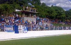 Felipe Bortolanza&nbsp;/&nbsp;