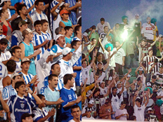 Divulga&ccedil;&atilde;o&nbsp;/&nbsp;