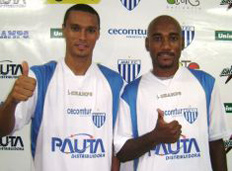 Ava&iacute;, Divulga&ccedil;&atilde;o &nbsp;/&nbsp;