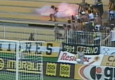 Reprodu&ccedil;&atilde;o&nbsp;/&nbsp;