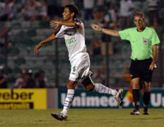 Flavio Neves&nbsp;/&nbsp;