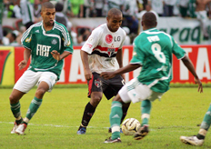 Bruno Miani,VipComm&nbsp;/&nbsp;