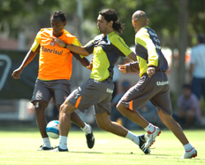 Fernando Gomes&nbsp;/&nbsp;