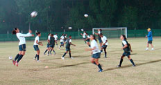 Divulga&ccedil;&atilde;o, CBF&nbsp;/&nbsp;