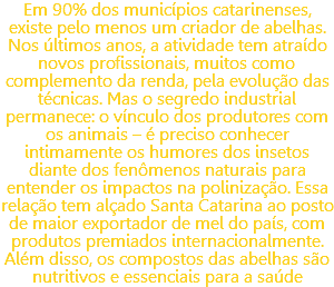 Em 90% dos municípios catarinenses, existe pelo menos um criador de abelhas. Nos últimos anos, a atividade tem atraído novos profissionais, muitos como complemento da renda, pela evolução das técnicas. Mas o segredo industrial permanece: o vínculo dos produtores com os animais – é preciso conhecer intimamente os humores dos insetos diante dos fenômenos naturais para entender os impactos na polinização. Essa relação tem alçado Santa Catarina ao posto de maior exportador de mel do país, com produtos premiados internacionalmente. Além disso, os compostos das abelhas são nutritivos e essenciais para a saúde